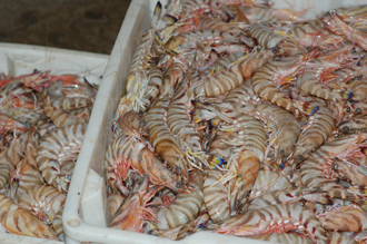 Maehama—rich with seafood