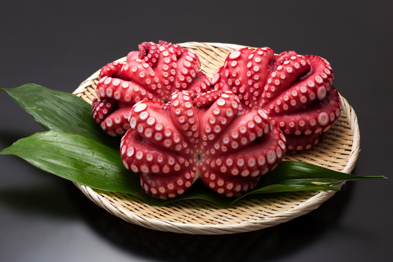 ボイル真だこ（モーリタニア）