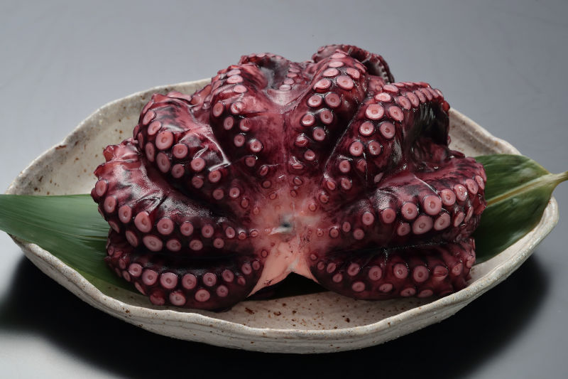 柔らか煮（しまだこ）