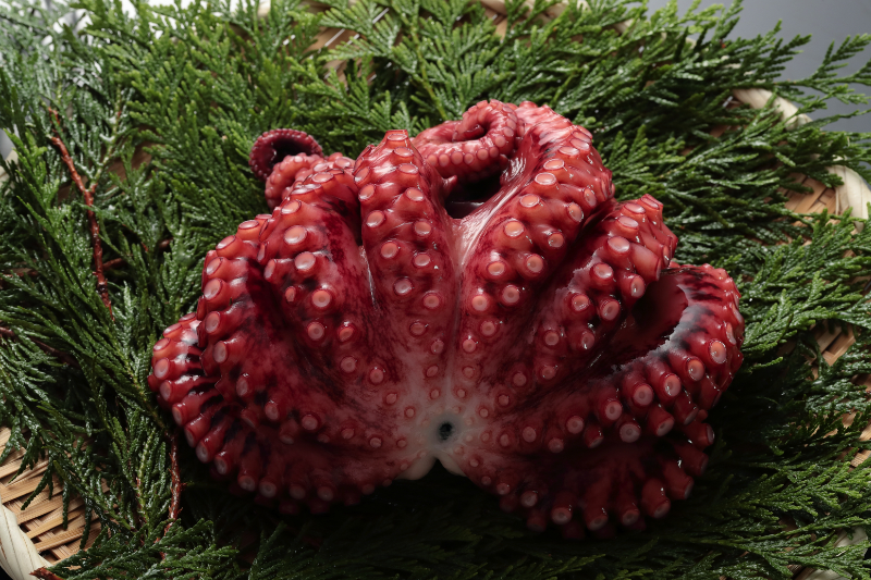 ボイルしまだこ（インドネシア/フィリピン産）