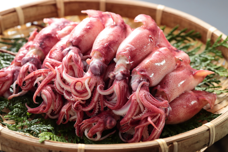 ボイルヤリイカ